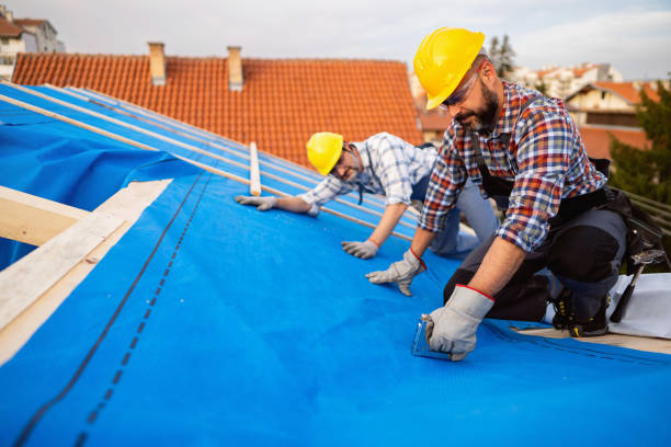 Best Sealant for Roof  in Springville, NY
