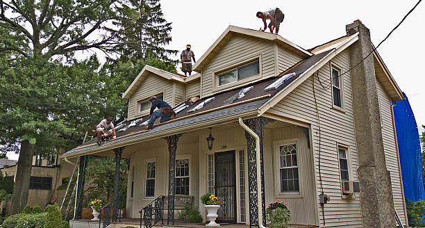 Best Shingle Roofing Installation  in Springville, NY